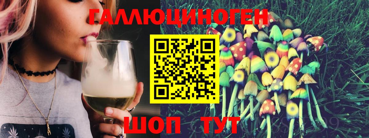 Луга  где купить наркоту  Вход с VPN  Псилоцибиновые грибы Psilocybine cubensis  Галлюциногенные грибы прущие грибы 